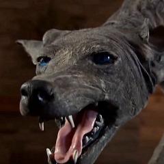 ChuppaCabra avatar