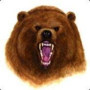 Grizzly_-_- avatar