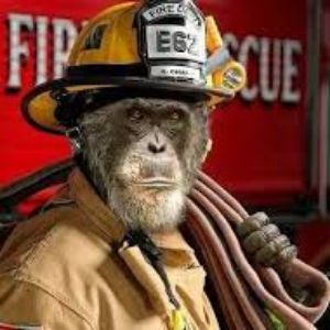 MonkeyTman