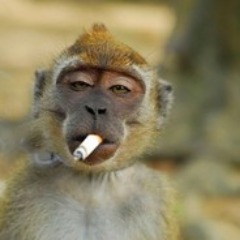 Junky_Monk3y FACEIT avatar