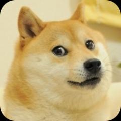 Second team's avatar