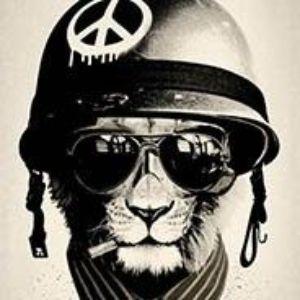Player Toks1tam1n avatar