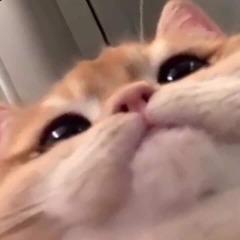 MeNToSssz avatar