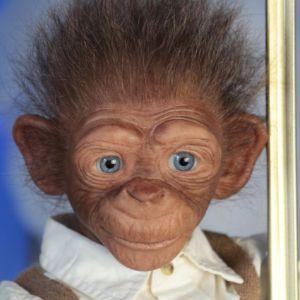 proypal avatar