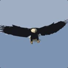 Faceit profile picture for @eagle