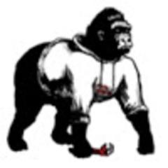 sircus avatar