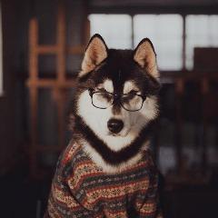 HANTER96 avatar