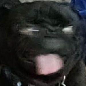 Faceit avatar