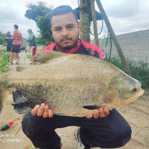 Player JUK40 avatar