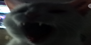 heheehe