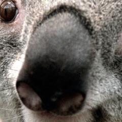 Alacrity666 avatar