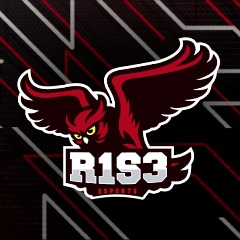 team_46656c6469