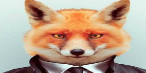 Le_RenarD avatar