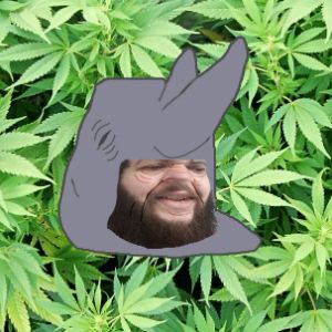 Onebigspaz avatar