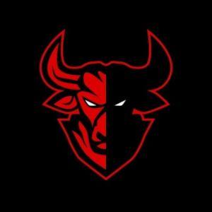 EneergyBull avatar