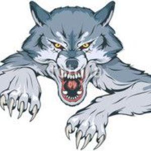 wolstery avatar