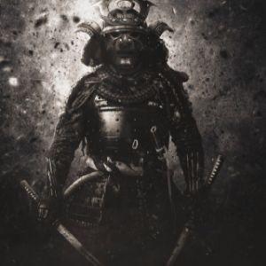 L1s_X avatar