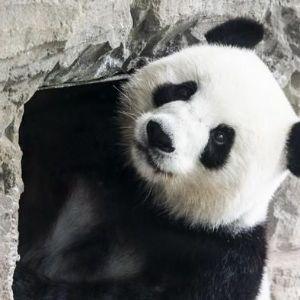 bialyojciec avatar