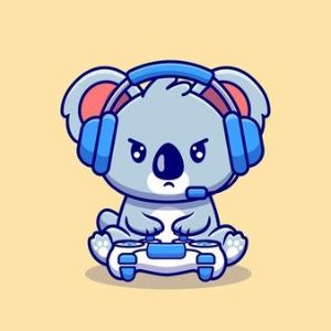 team_koala__boy