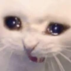 qpcatl avatar