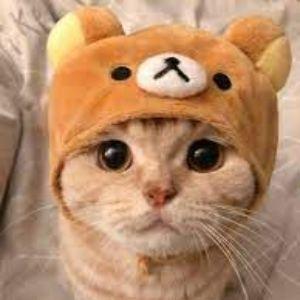 ItsLinconYT avatar