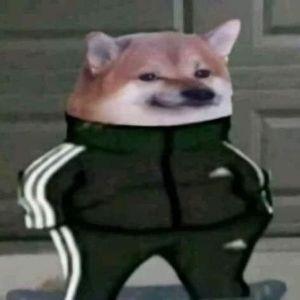 Player wo7ti avatar