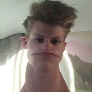 Kito4ik avatar