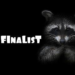 F1nalisT_YY