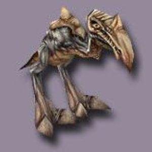 Sw4gimir avatar