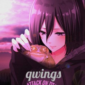 team_qwings