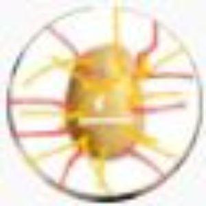 Hotziemniok avatar