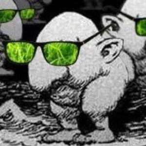 DamaCaguama avatar