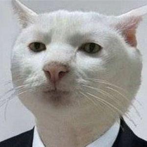 skeezeebest avatar