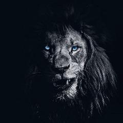 -t1moha- avatar