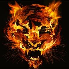 BurningTyger avatar