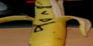 percx avatar