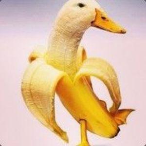 Preehn avatar