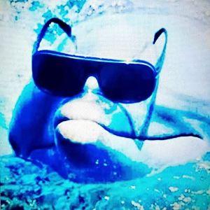 Werdy__ avatar