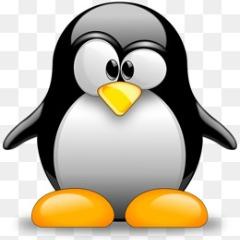 MrPinguim23