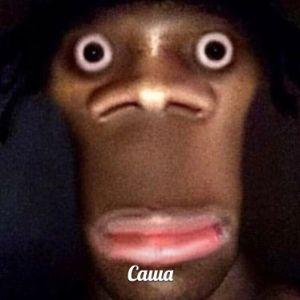 Danzil2000