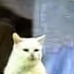 Dubblish avatar