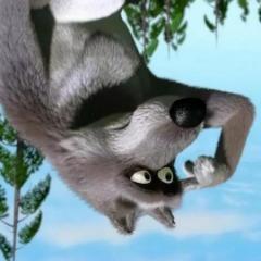 lub1ratee avatar