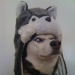 InJekt avatar