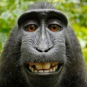 NentuAndrei avatar