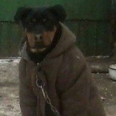 ZeeKey