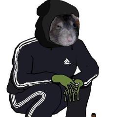 Groszek144 avatar