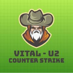 ViTaL-U2