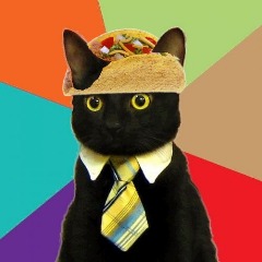 -Tacocat- avatar