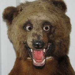 deeLimpay avatar