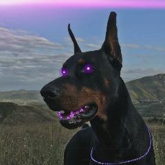 simaimple avatar
